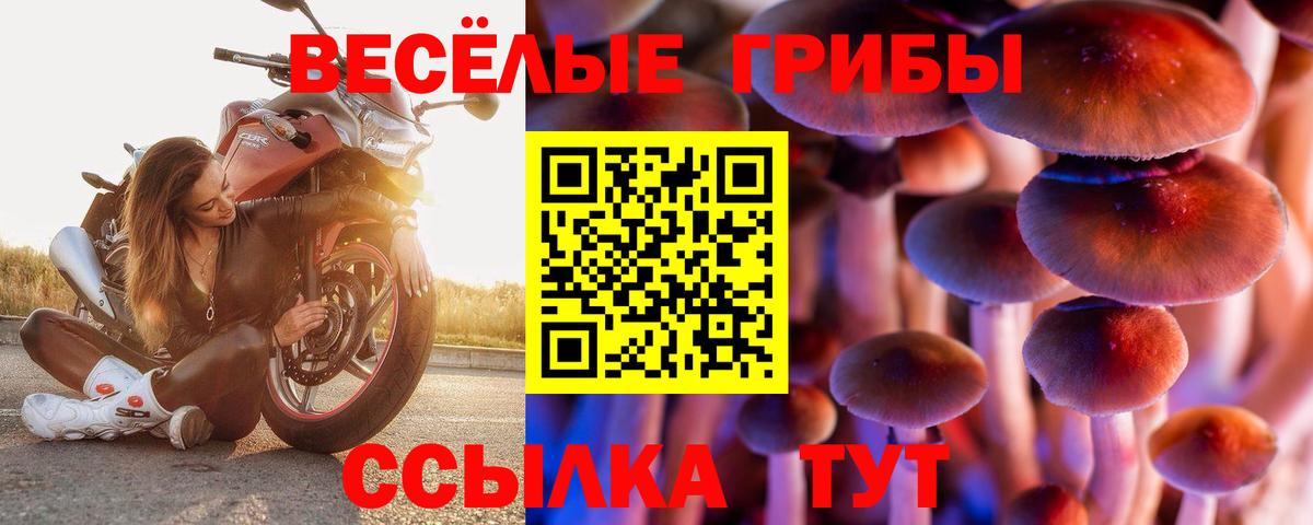 Галлюциногенные грибы Psilocybine cubensis Трёхгорный